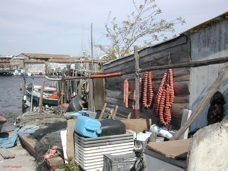 DSCN3805.JPG