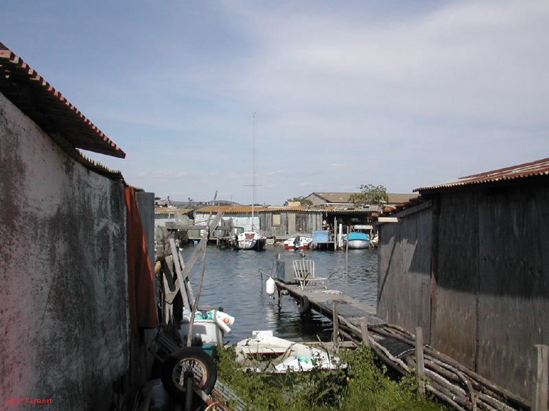 DSCN3807.JPG