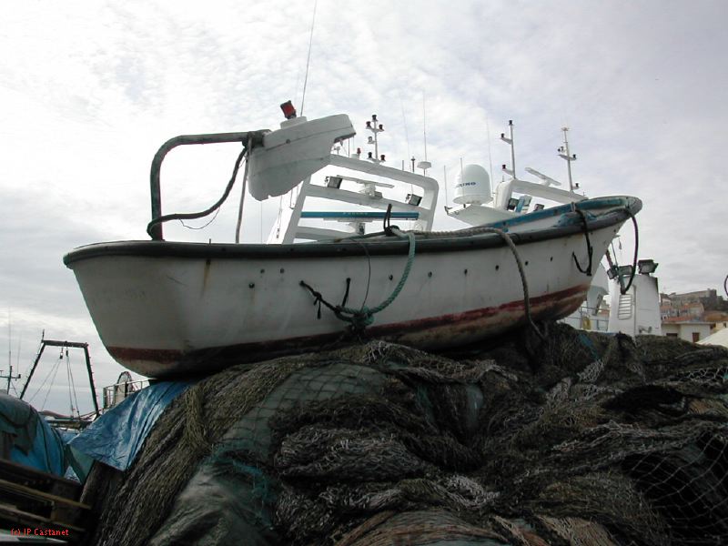 DSCN3560.JPG