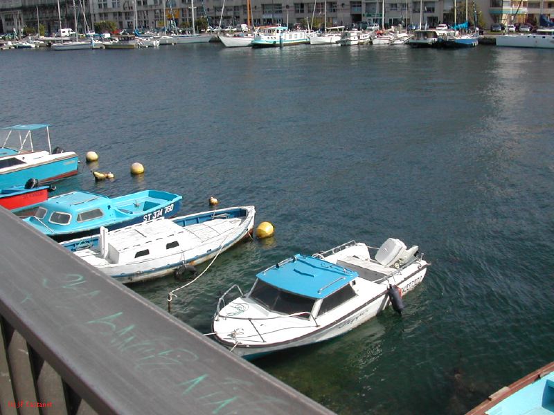 DSCN3853.JPG