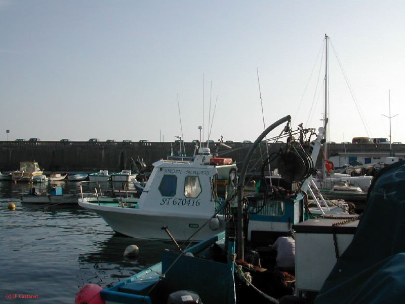 DSCN8474.JPG