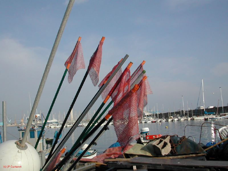 DSCN8475.JPG