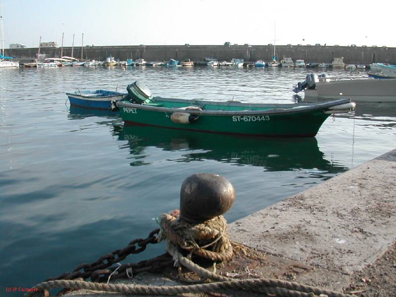 DSCN8483.JPG