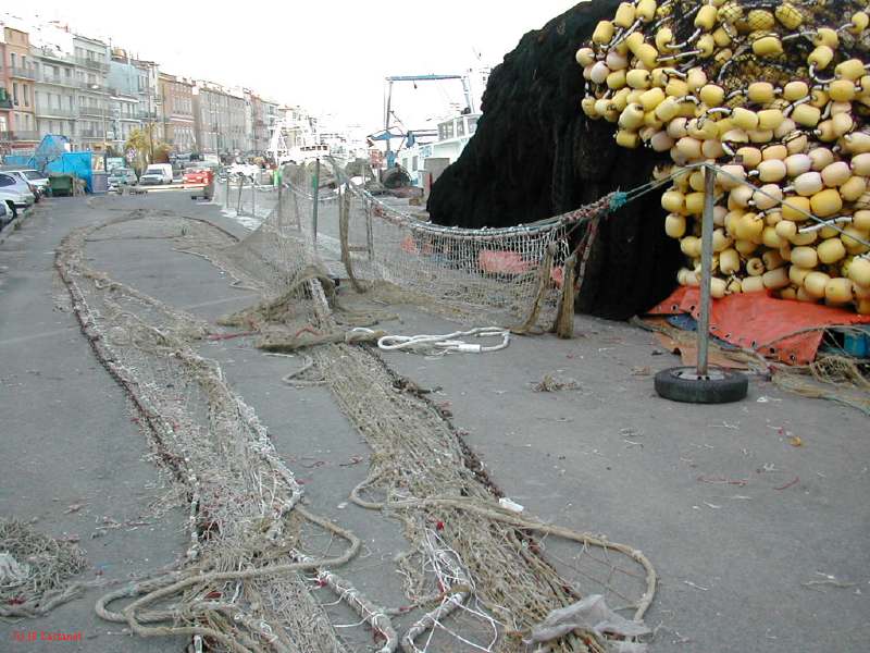 DSCN8485.JPG