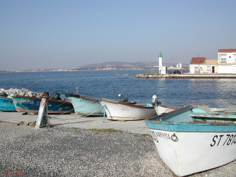 DSCN8528.JPG