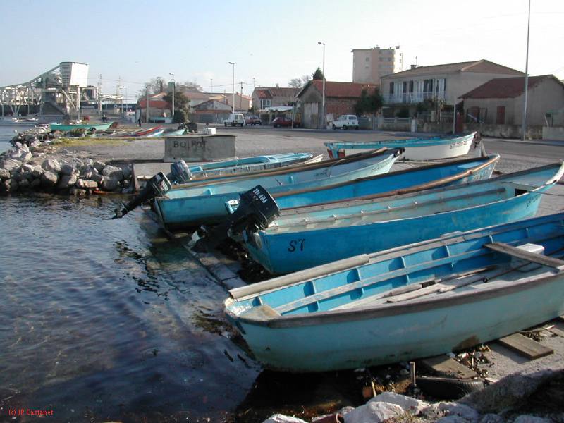 DSCN8529.JPG