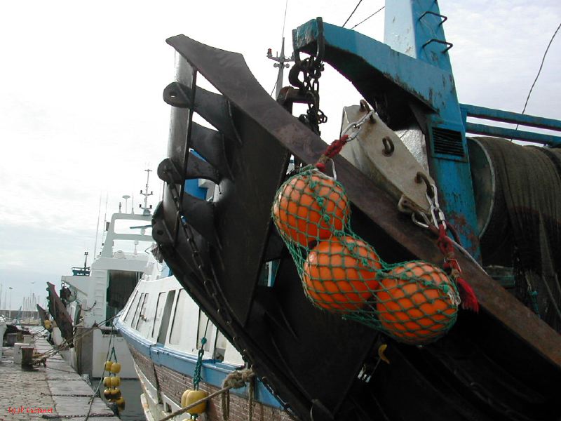 DSCN3571.JPG
