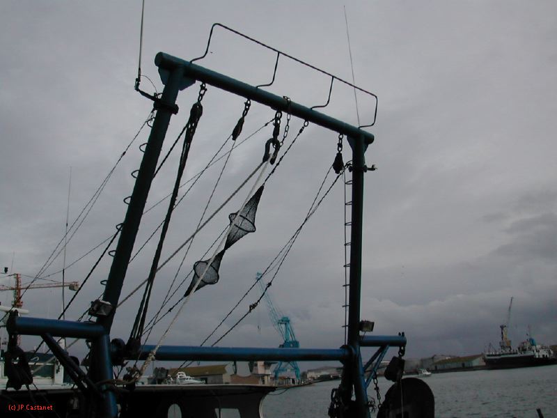 DSCN3578.JPG