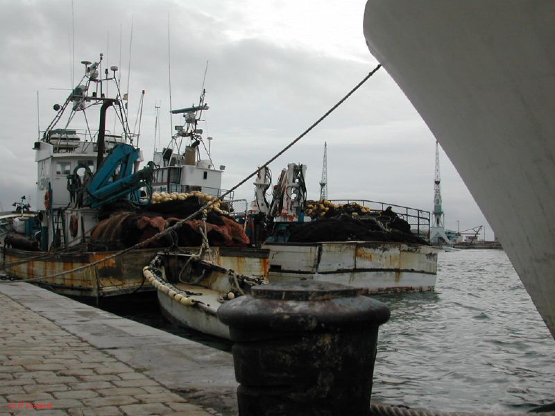 DSCN3591.JPG