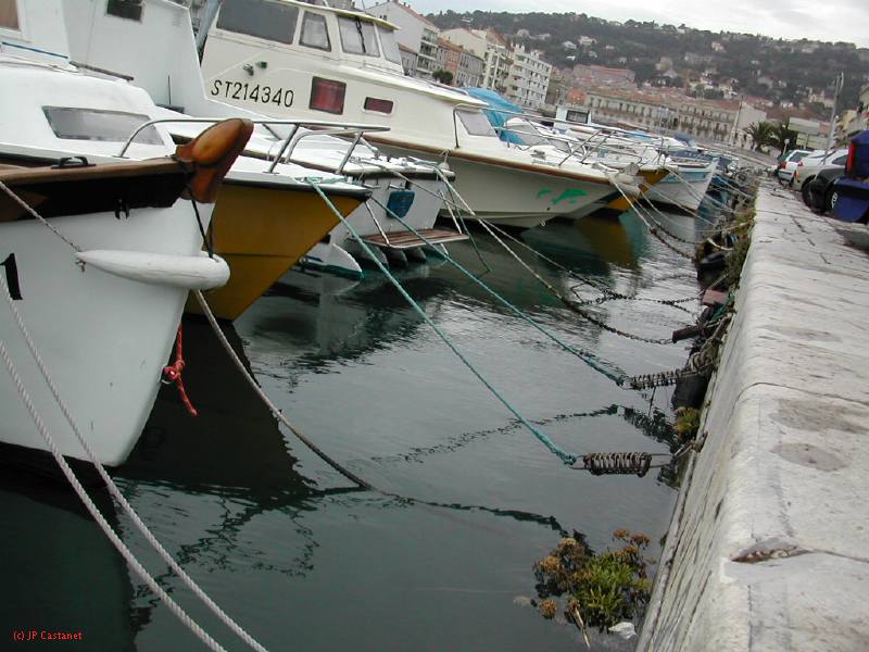 DSCN3633.JPG