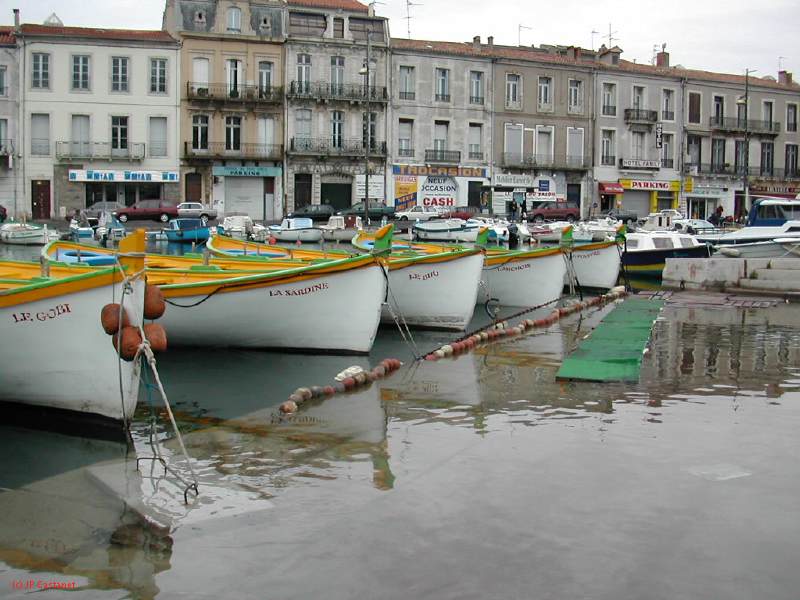 DSCN3644.JPG