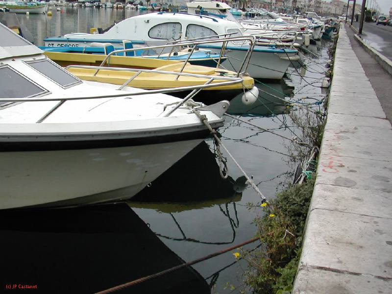 DSCN3649.JPG