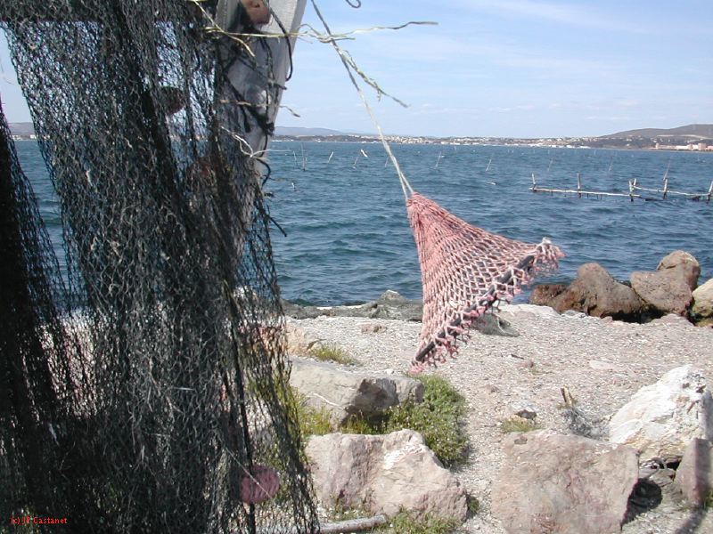 DSCN3757.JPG