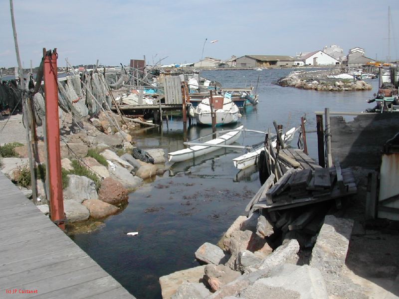 DSCN3758.JPG