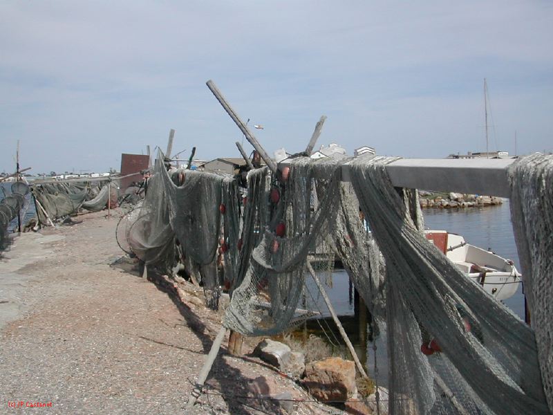 DSCN3760.JPG
