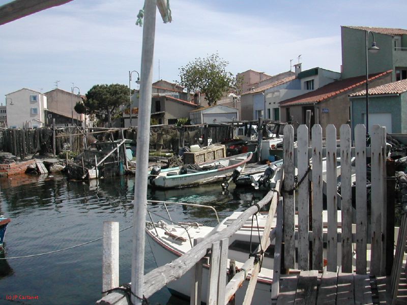 DSCN3762.JPG
