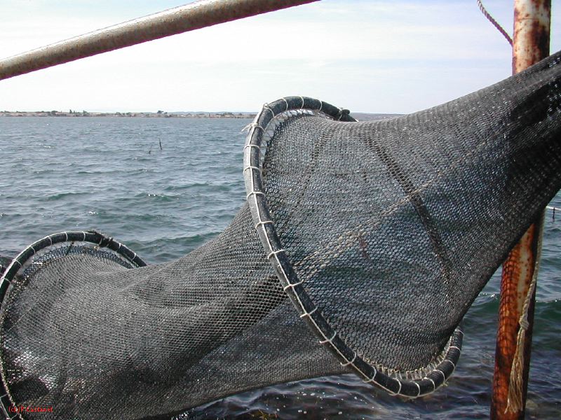 DSCN3767.JPG