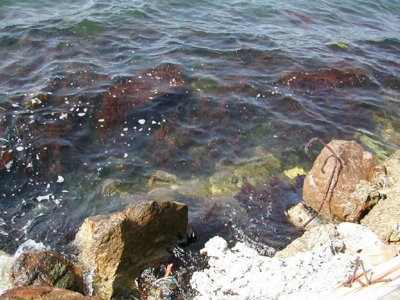 DSCN3770.JPG