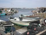 DSCN3778.JPG