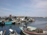 DSCN3779.JPG