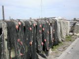 DSCN3784.JPG
