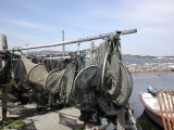 DSCN3786.JPG