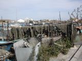 DSCN3797.JPG