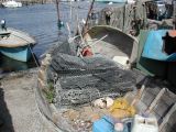 DSCN3798.JPG