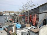 DSCN3805.JPG