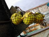 DSCN3558.JPG