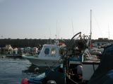DSCN8474.JPG