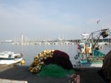 DSCN8476.JPG