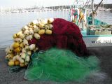 DSCN8477.JPG