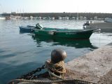 DSCN8483.JPG