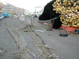 DSCN8485.JPG