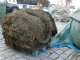 DSCN8489.JPG