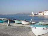 DSCN8528.JPG