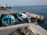 DSCN8530.JPG