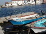 DSCN8531.JPG