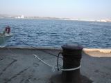 DSCN8534.JPG