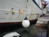 DSCN3570.JPG