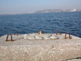 DSCN8540.JPG