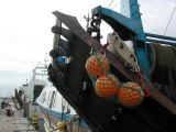 DSCN3571.JPG