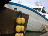 DSCN3572.JPG