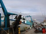 DSCN3575.JPG