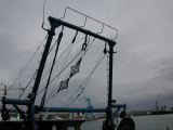 DSCN3578.JPG