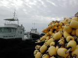 DSCN3594.JPG