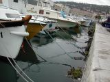 DSCN3633.JPG