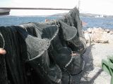 DSCN3756.JPG