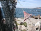 DSCN3757.JPG